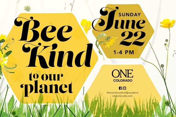 BEE Kind to Our Planet SUN JUN 22 1-4pm