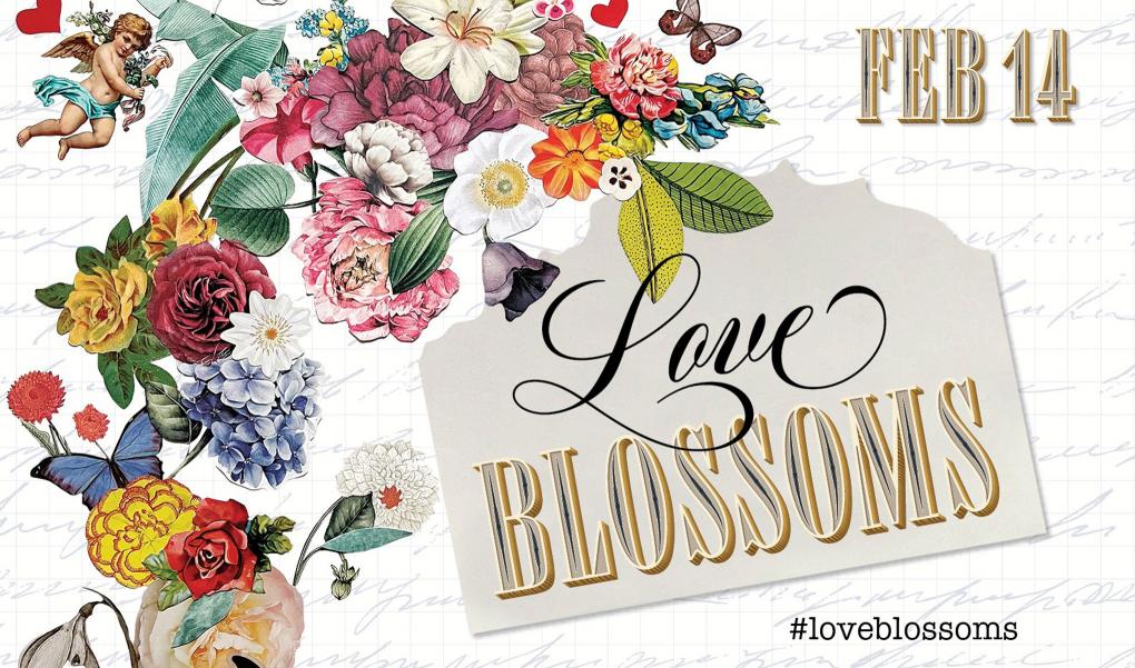 Old Town Pasadena Hours Christmas 2022 2M80Ldtqrpqacm