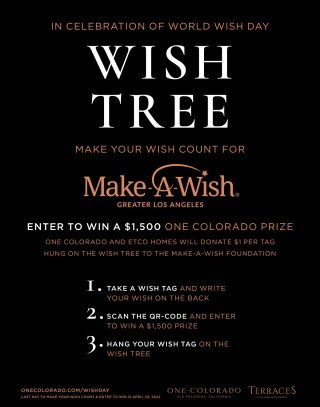 Wish Tree poster